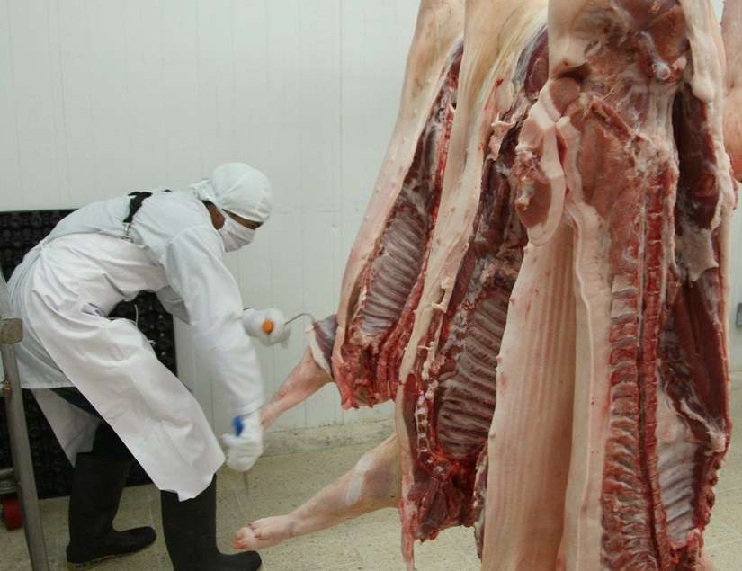 CARNE3