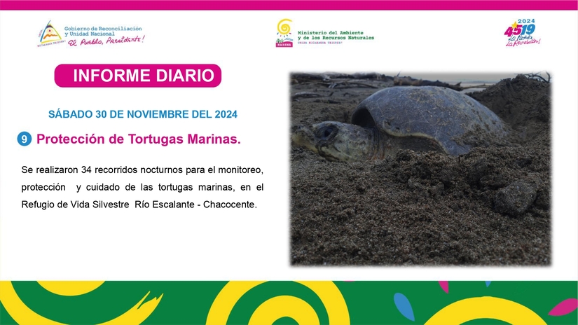 Informe-FotografA_co-SA&iexcl;bado-30-de-Noviembre-del-2024-_page-0009