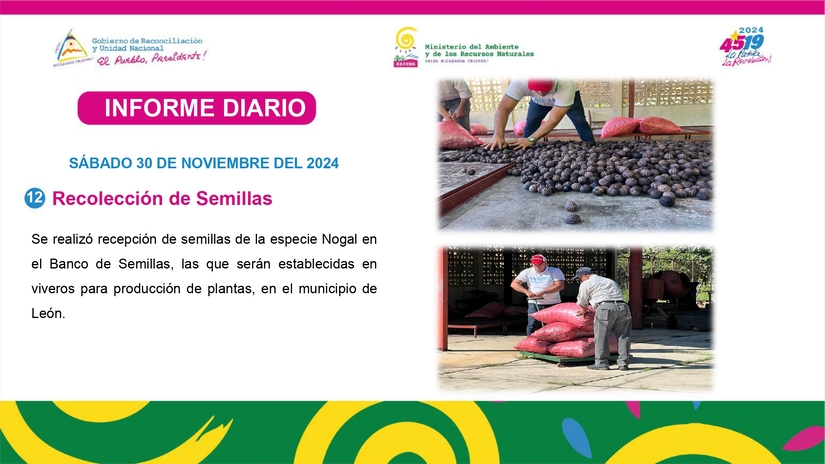 Informe-FotografA_co-SA&iexcl;bado-30-de-Noviembre-del-2024-_page-0012