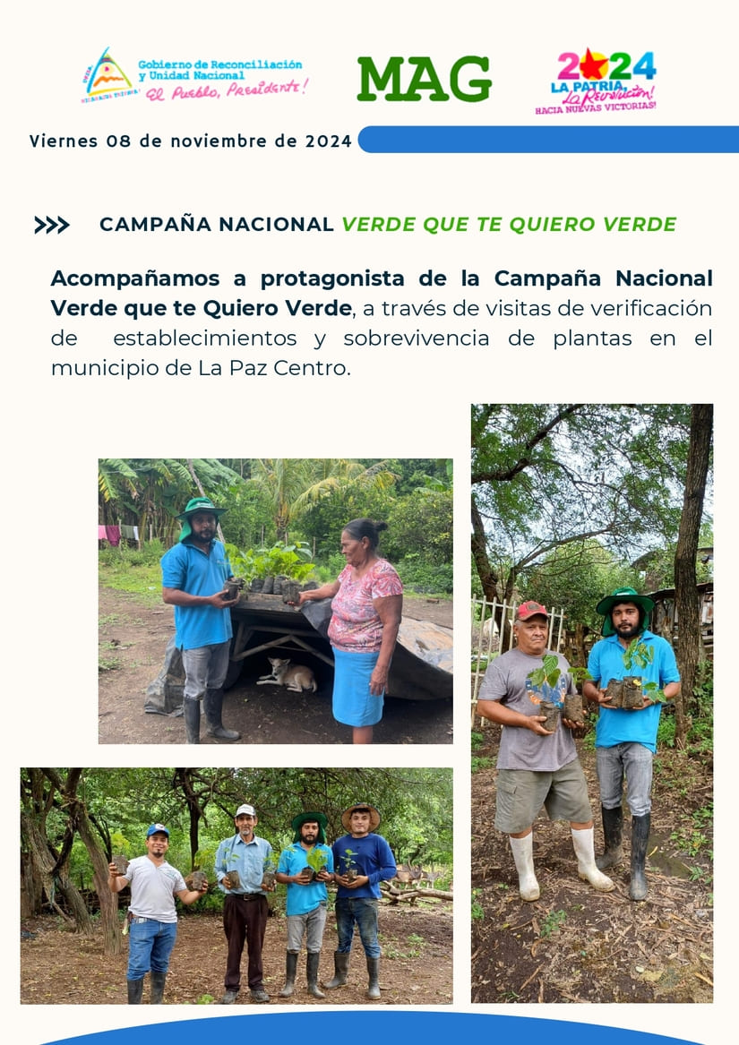 Informe-diario-MAG---08112024_page-0003