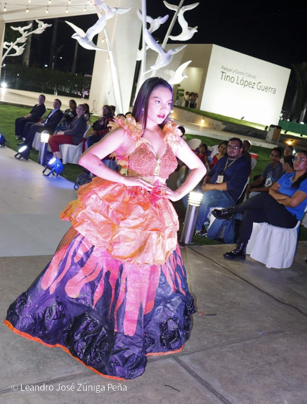 PASARELA-(1)
