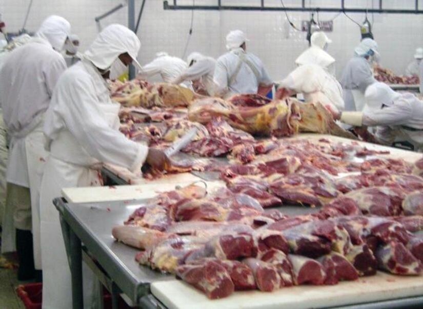 CARNE1