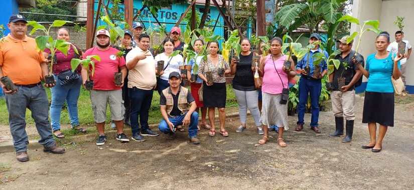 PLANTA5