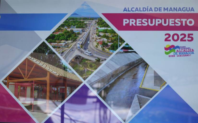 alma-presupuesto2025-1