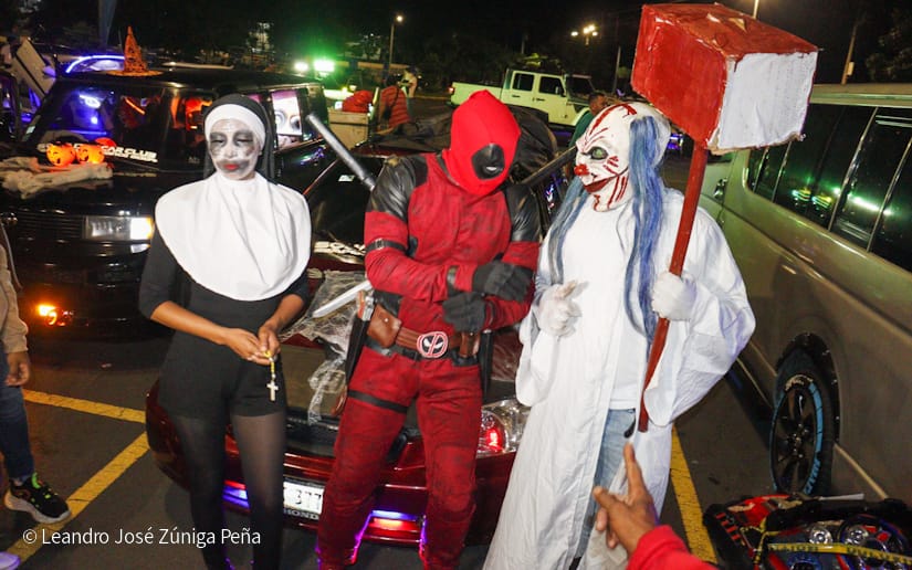 CARROS-(11)