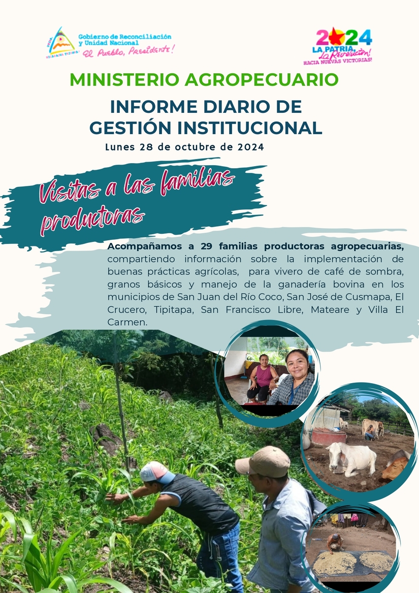 Informe-diario-MAG---28102024_page-0001