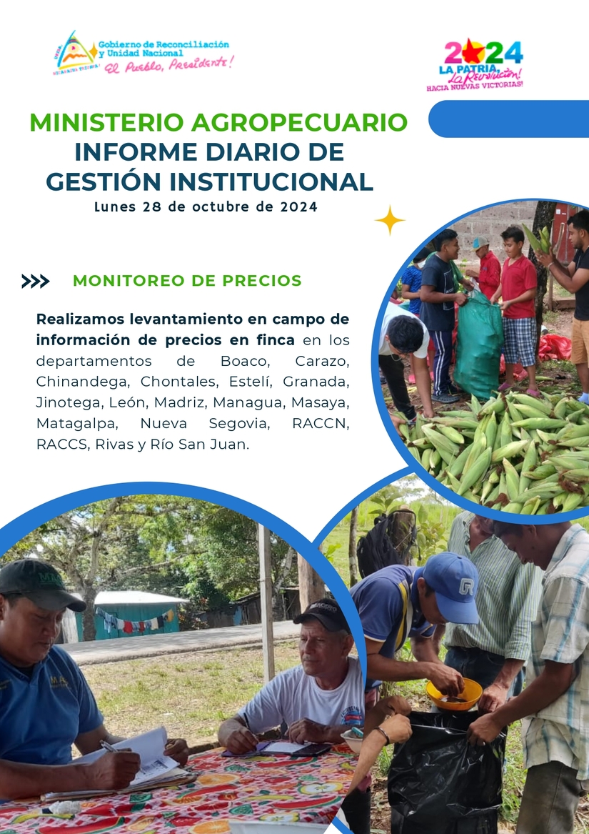 Informe-diario-MAG---28102024_page-0004