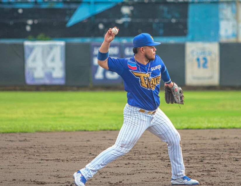 TIGRES