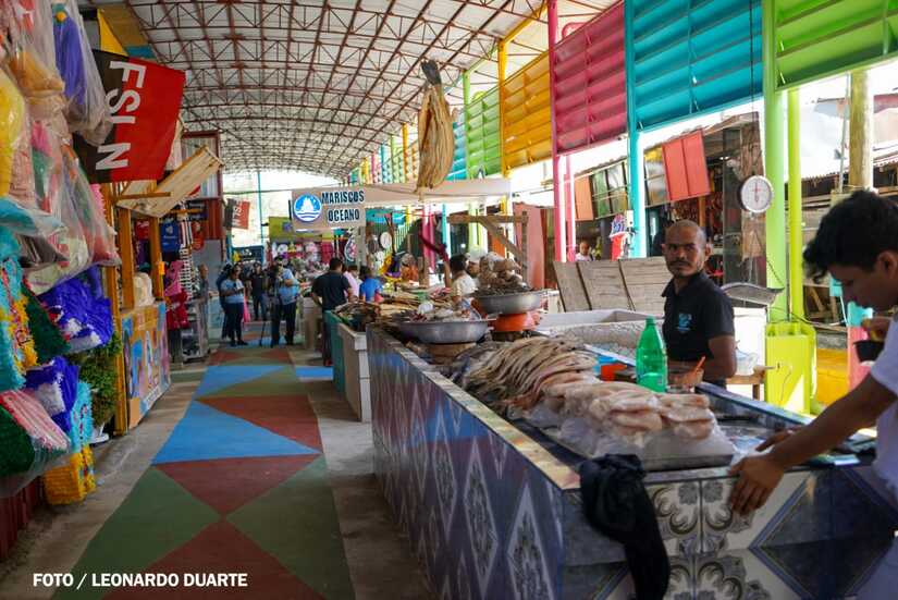 Mercado-Israel-Lewites-3