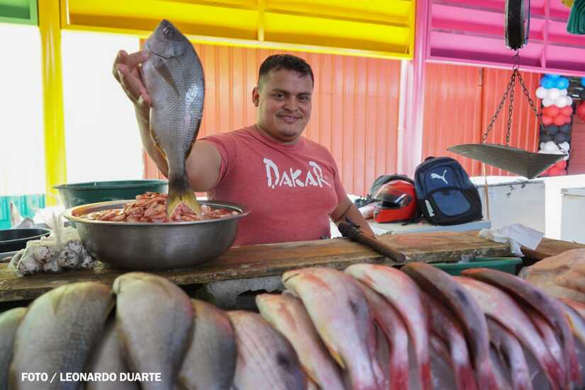 Mercado-Israel-Lewites-4