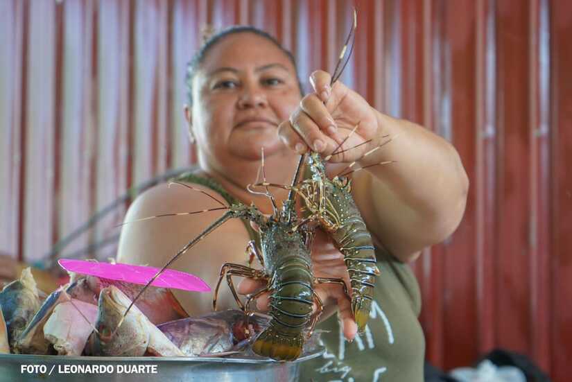 Mercado-Israel-Lewites-8