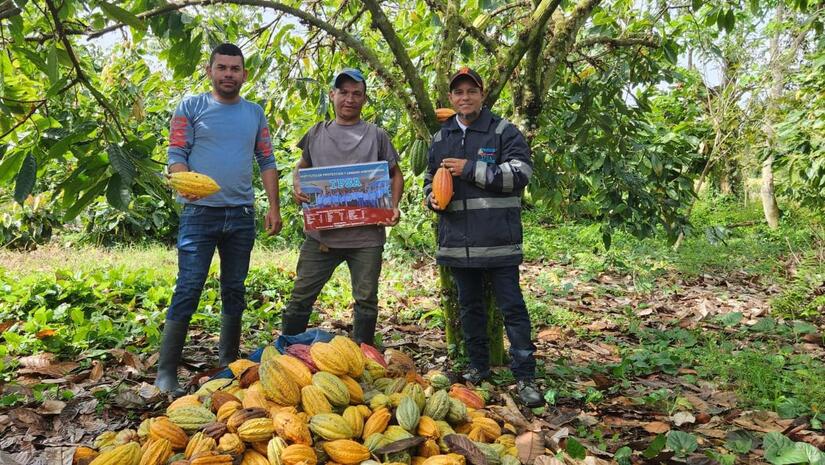 CACAO1