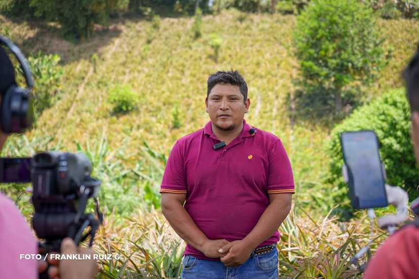 Produccion-de-Pina-en-Nicaragua-8