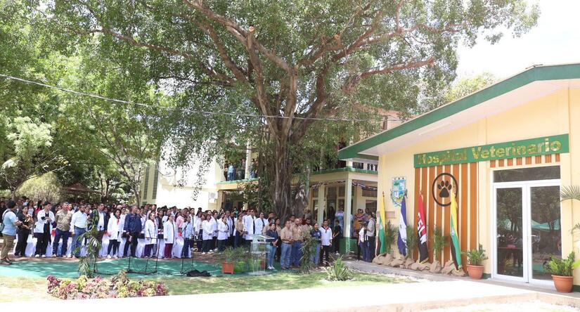 Hospital-Veterinario-(1)