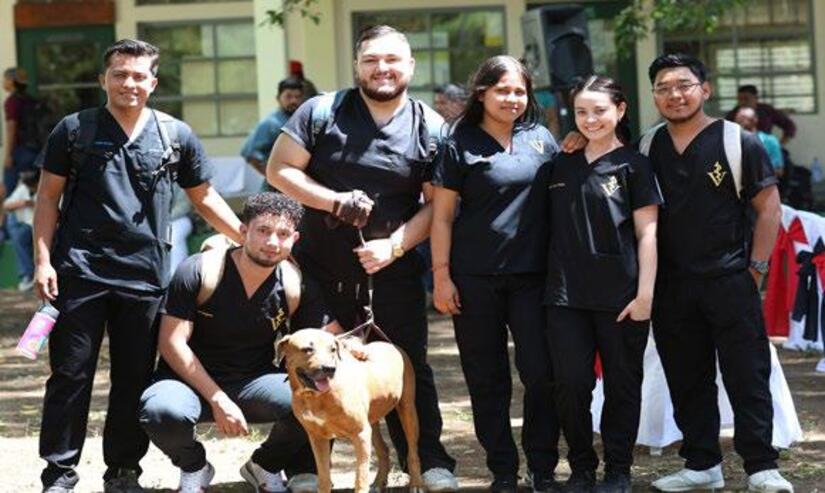 Hospital-Veterinario-(17)