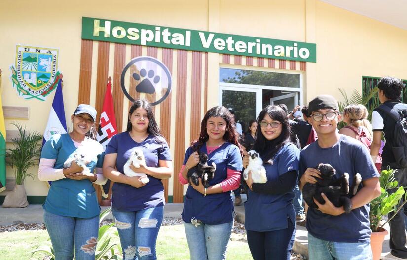 Hospital-Veterinario-(2)
