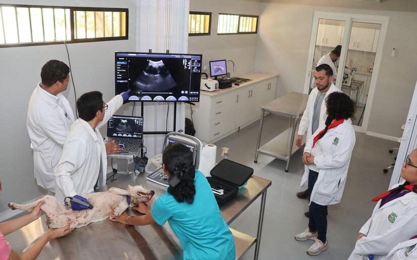 Hospital-Veterinario-(3)