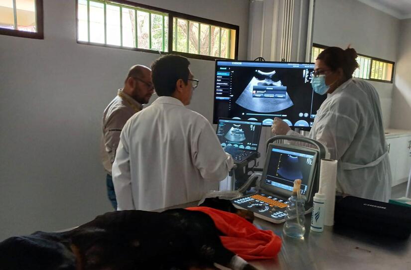 Hospital-Veterinario-(4)