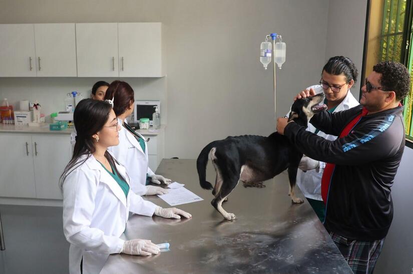 Hospital-Veterinario-(5)