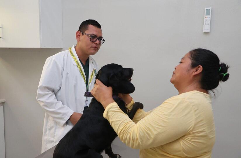 Hospital-Veterinario-(6)