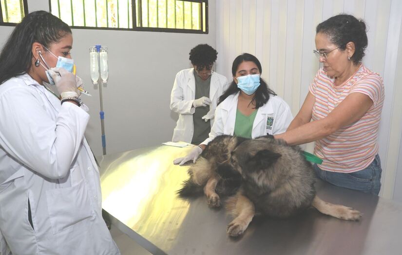 Hospital-Veterinario-(7)