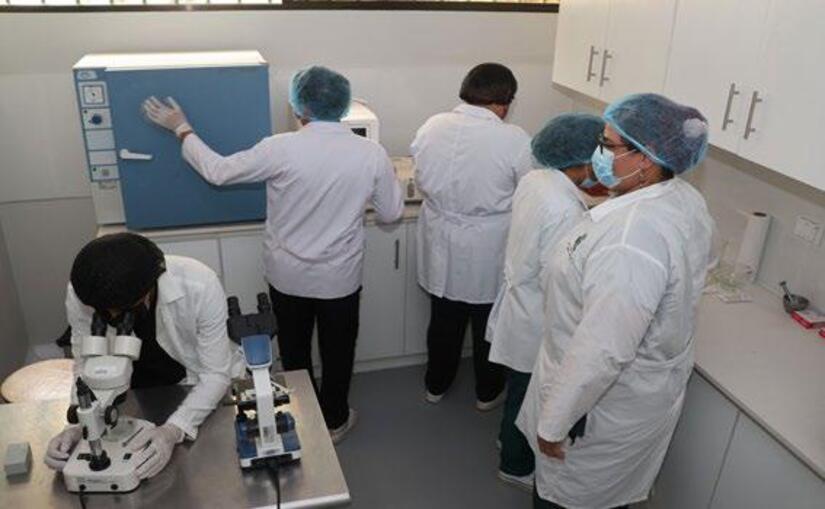 Hospital-Veterinario-(9)