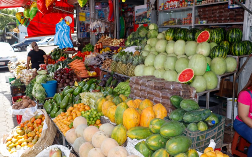 Alcaldia-de-Managua-16