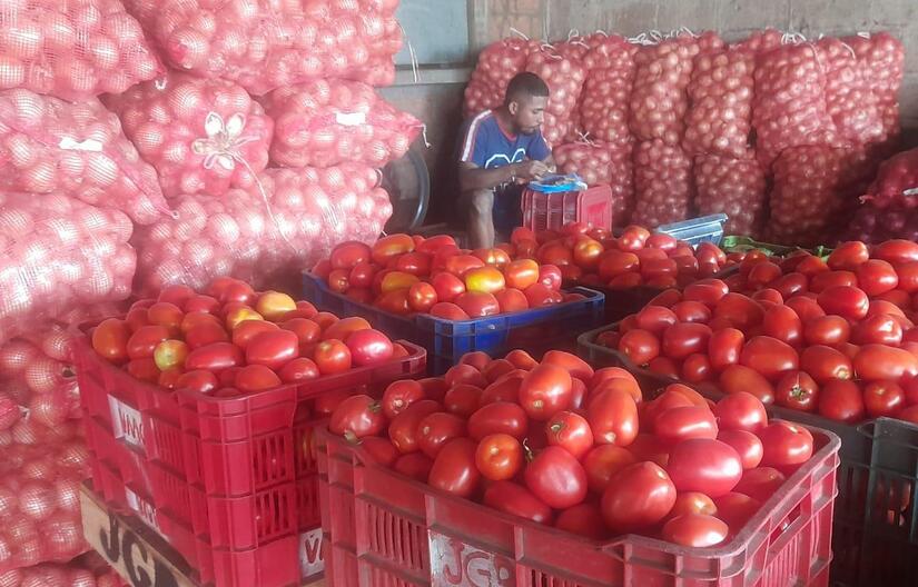 TOMATE7