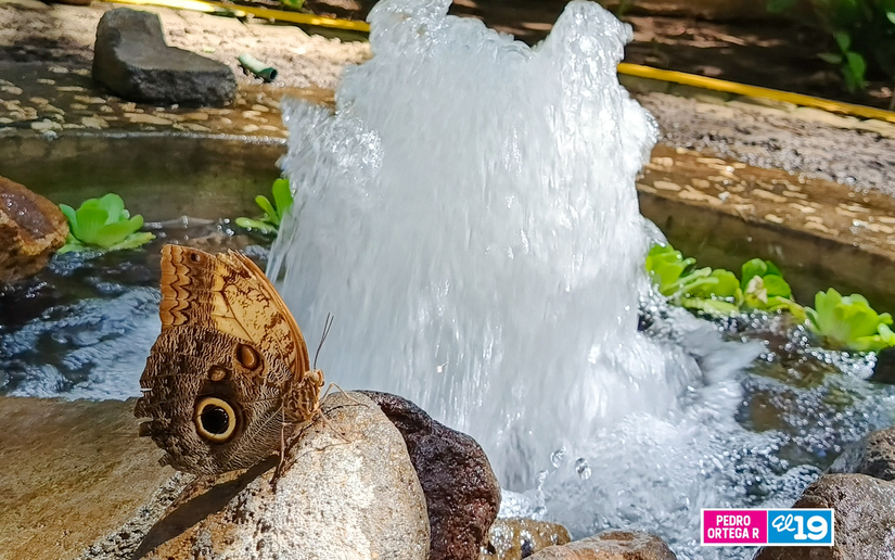 Ticuantepe-Turismo-15