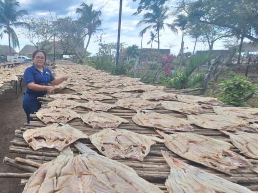 Pescado-Seco-1