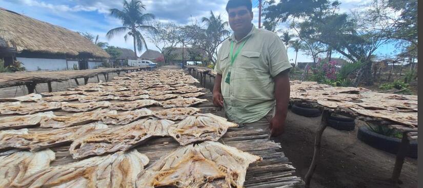 Pescado-Seco-3