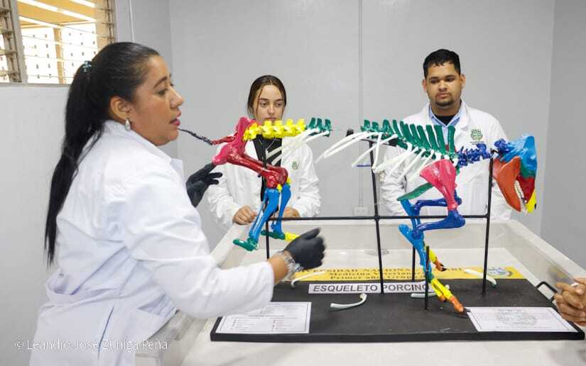 Centro-Universitario-Padre-Camilo-Torres-Restrepo-105