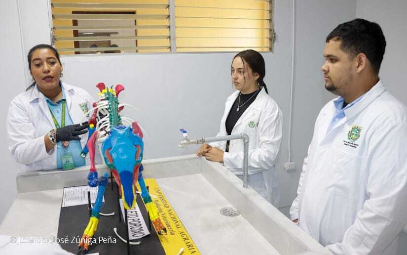 Centro-Universitario-Padre-Camilo-Torres-Restrepo-106