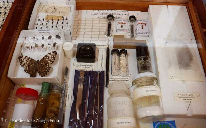 Centro-Universitario-Padre-Camilo-Torres-Restrepo-37