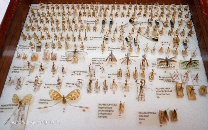 Centro-Universitario-Padre-Camilo-Torres-Restrepo-38