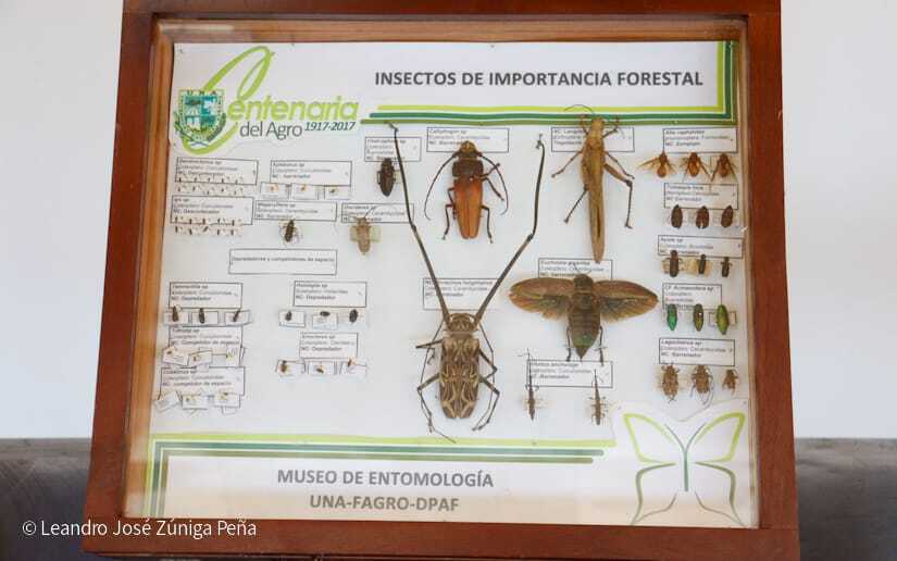 Centro-Universitario-Padre-Camilo-Torres-Restrepo-40