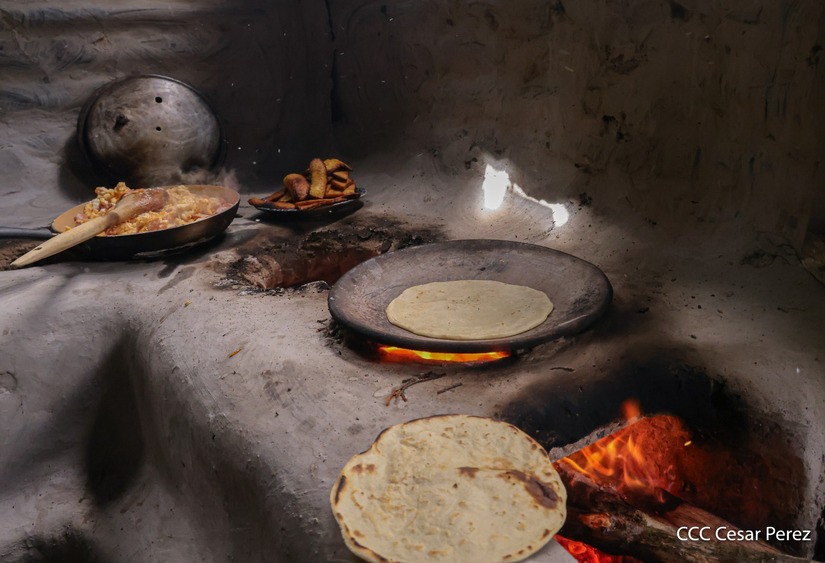 Produccion-de-Cafe-en-Nicaragua-11