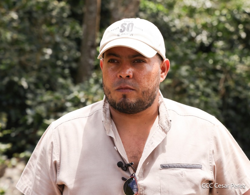 Produccion-de-Cafe-en-Nicaragua-72