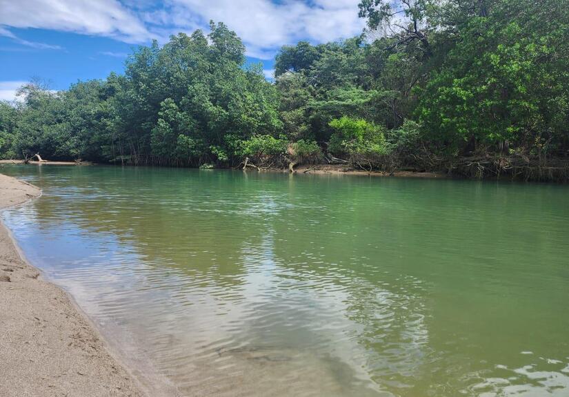Rivas-Marena-5