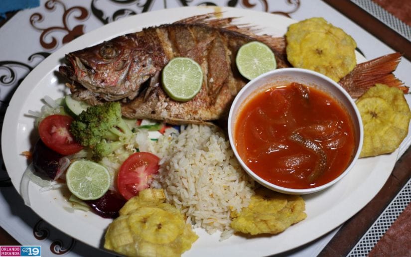 Establecimientos-Pochomil--(1)