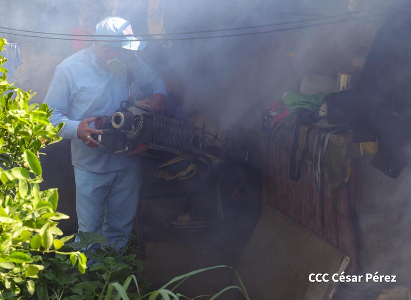 Fumigacion-y-Abatizacion-Minsa-10