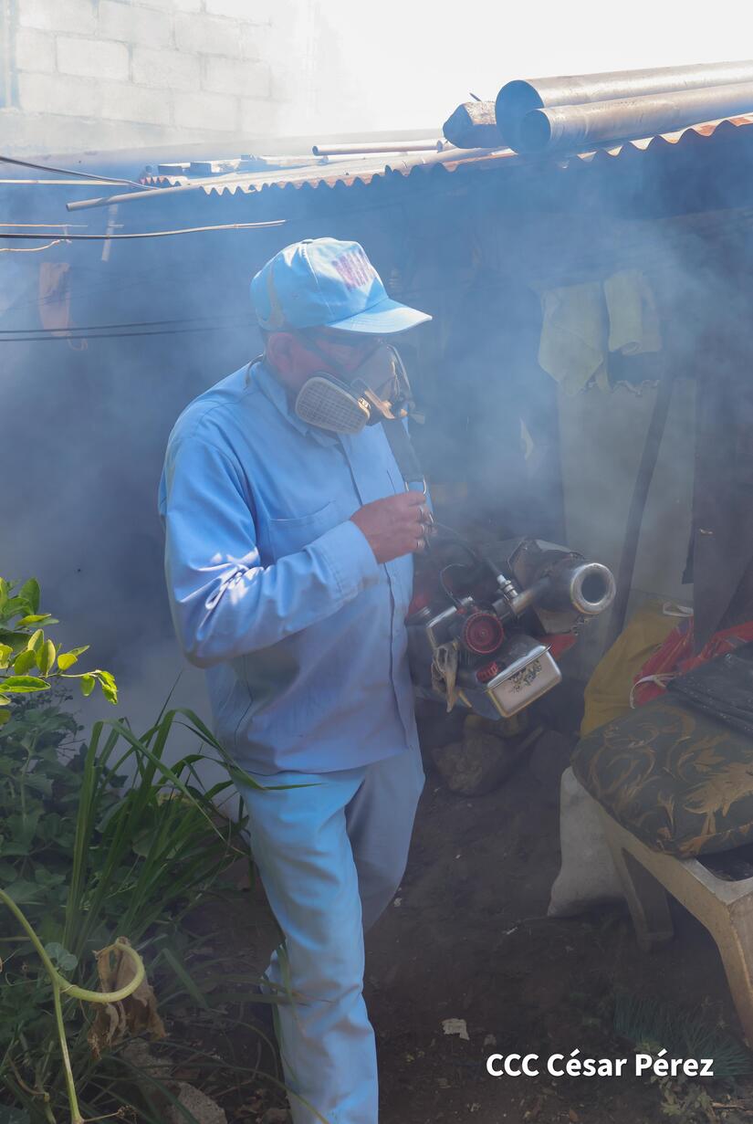 Fumigacion-y-Abatizacion-Minsa-13