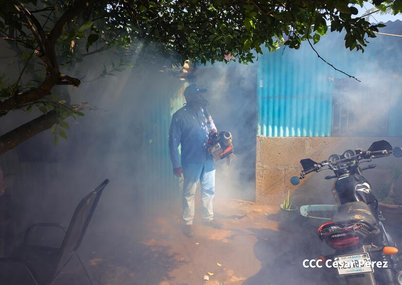 Fumigacion-y-Abatizacion-Minsa-15