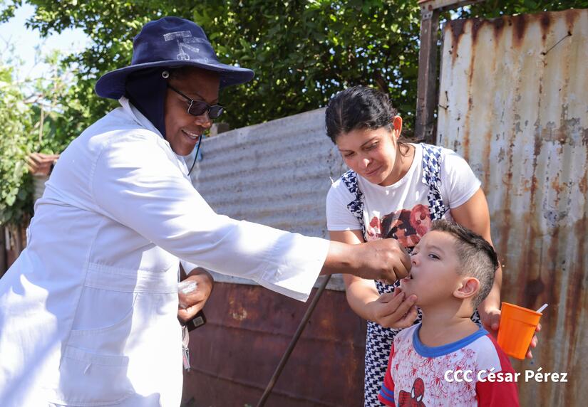 Fumigacion-y-Abatizacion-Minsa-17