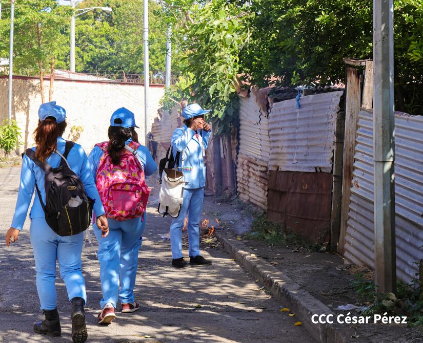 Fumigacion-y-Abatizacion-Minsa-4