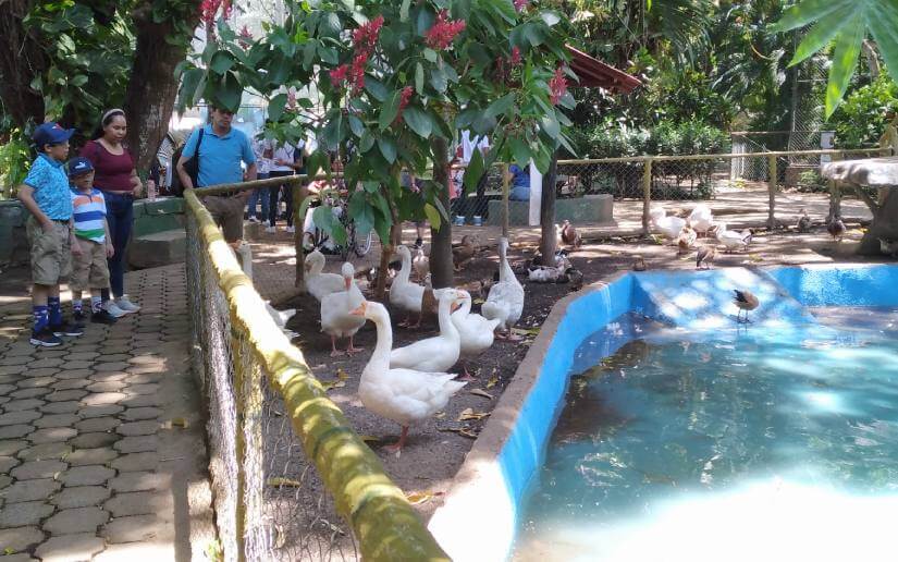 xilonem-zoologico-15