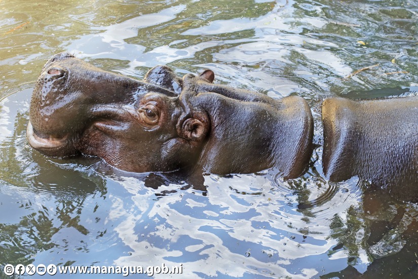 Zoologico-Nacional-18