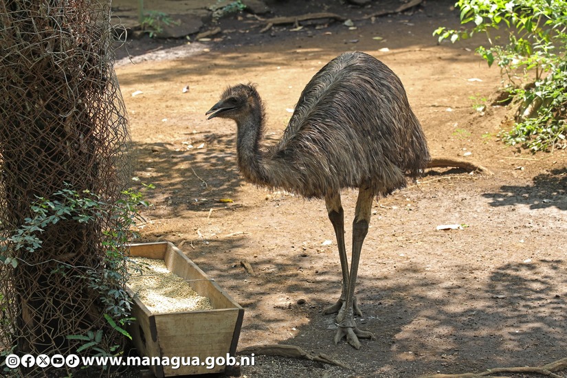 Zoologico-Nacional-24