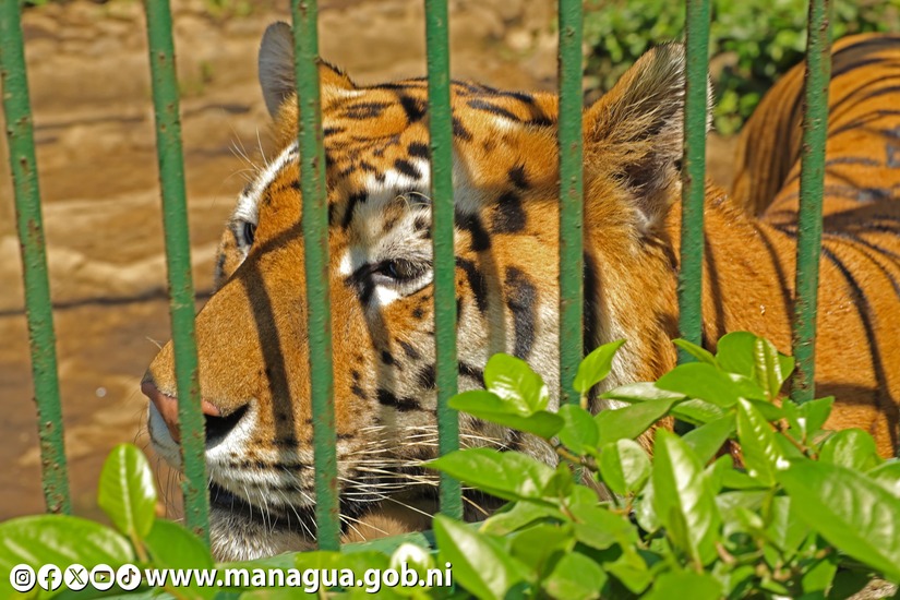 Zoologico-Nacional-30