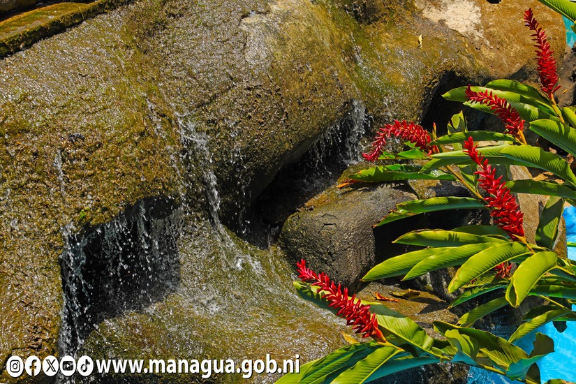 Zoologico-Nacional-4